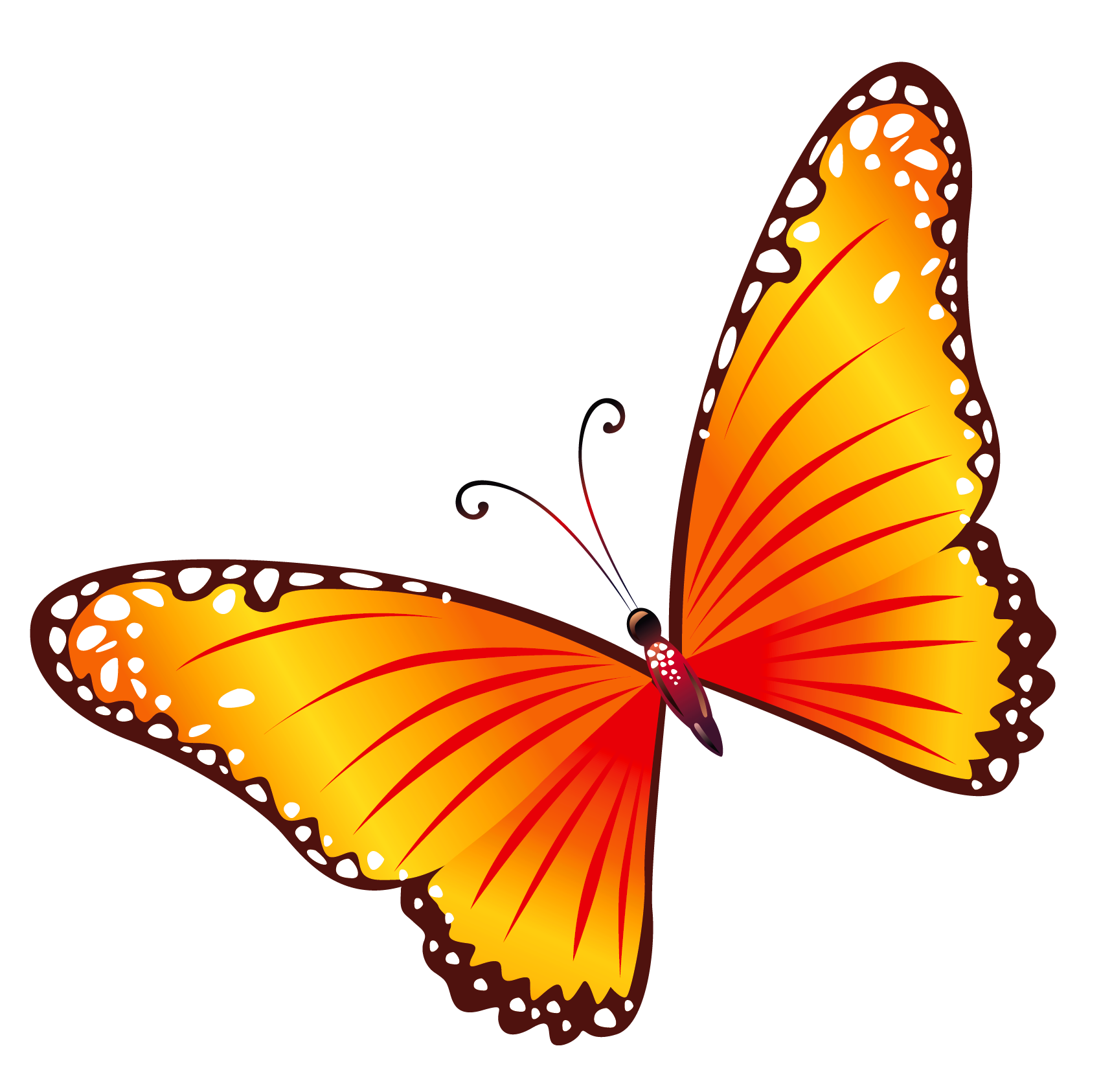png clipart- butterfly pack - photo #5
