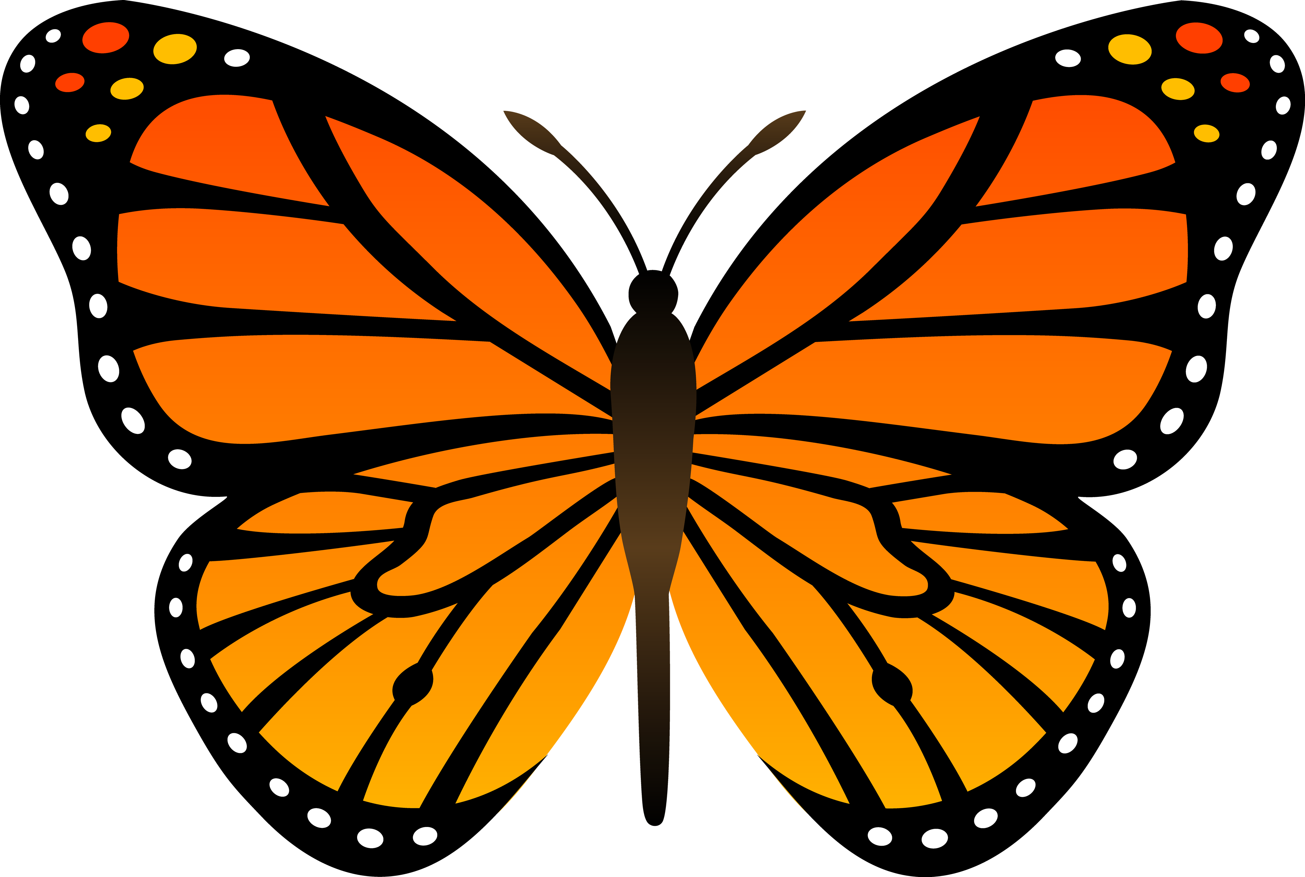 png clipart- butterfly pack - photo #11