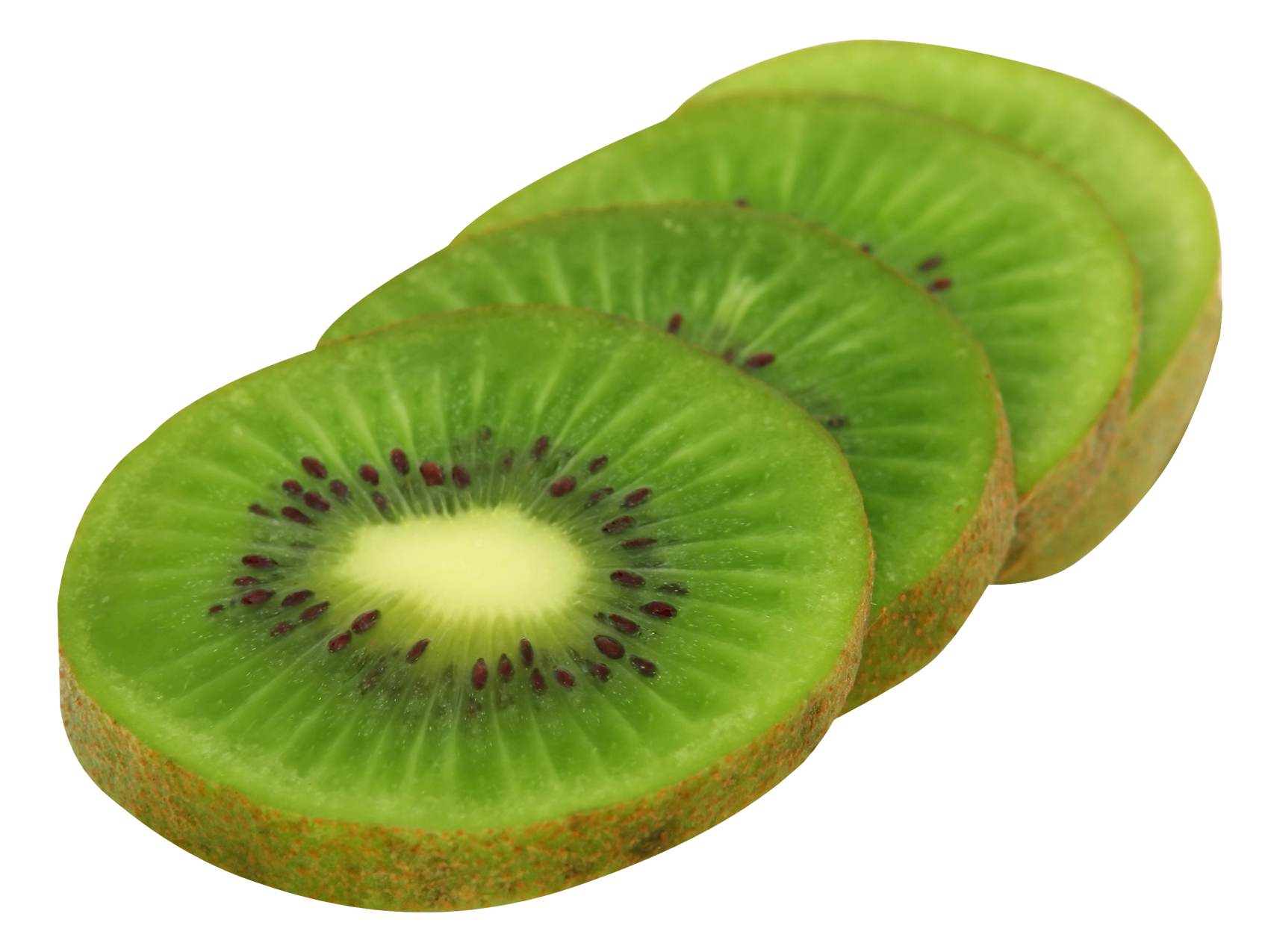 free kiwi fruit clipart - photo #41