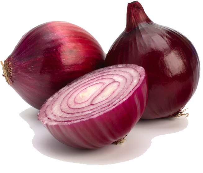 clipart of onion - photo #33