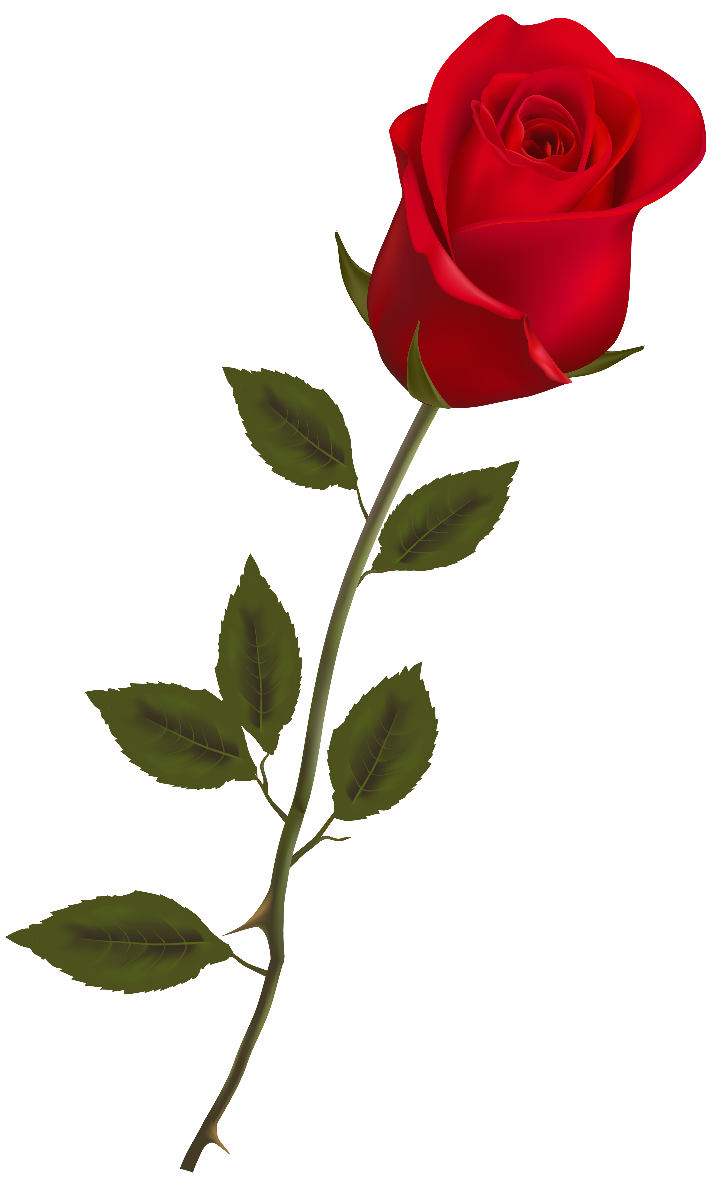 clipart rose rouge - photo #12