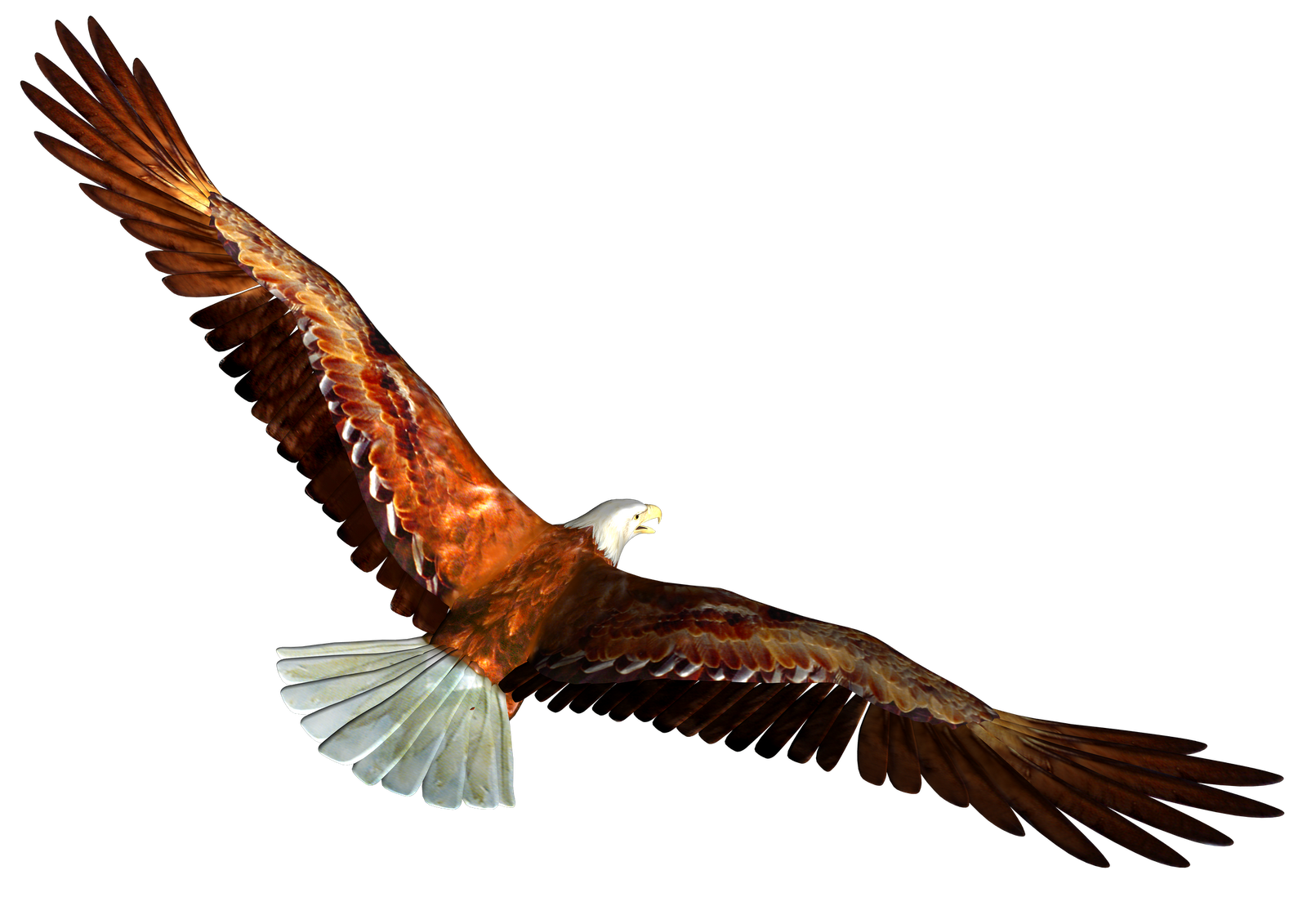 soaring eagle clip art free - photo #23