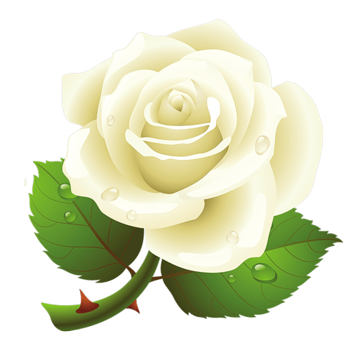 clip art white rose bud - photo #22