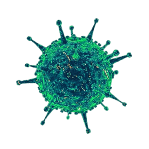 Covid 19 Virus Png Clipart Png Mart