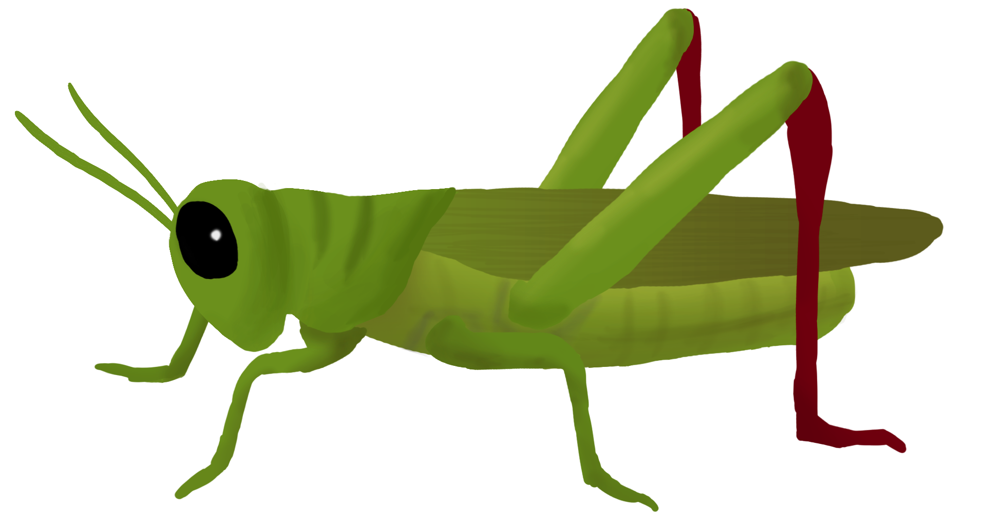 free clip art grasshopper - photo #21