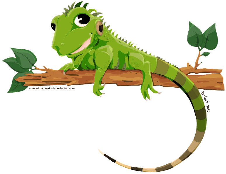 animated iguana clipart - photo #29