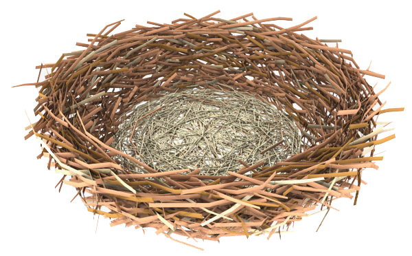 clipart picture of nest - photo #35