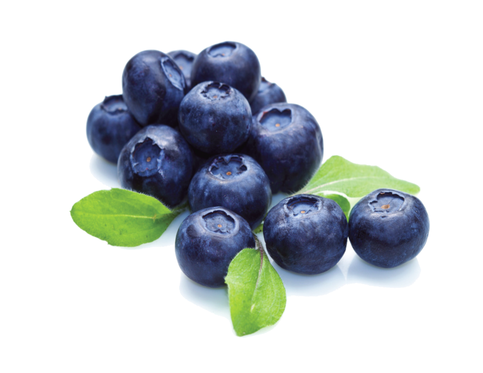 Blueberry PNG File | PNG Mart