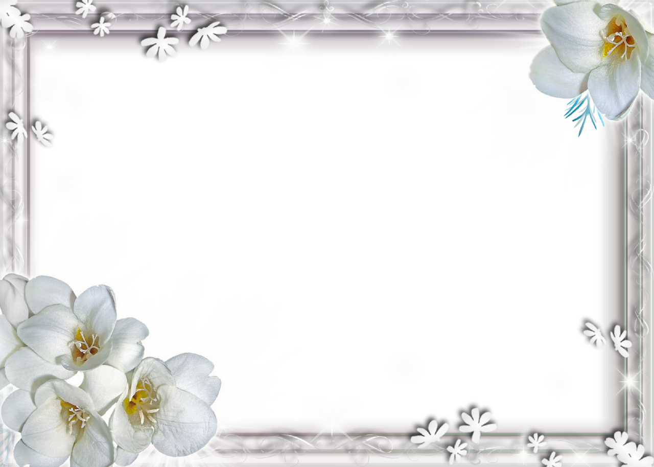 White Flower Frame PNG File | PNG Mart