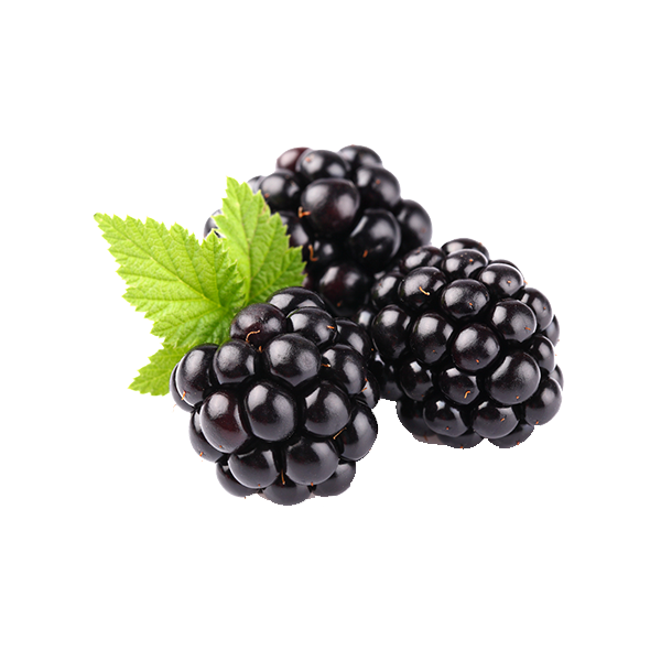 Blackberry Fruit PNG Clipart | PNG Mart