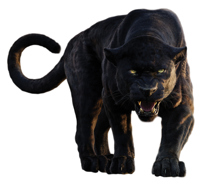 Panther Png Clipart Png Mart