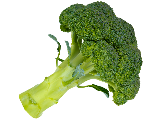 Image result for broccoli .png