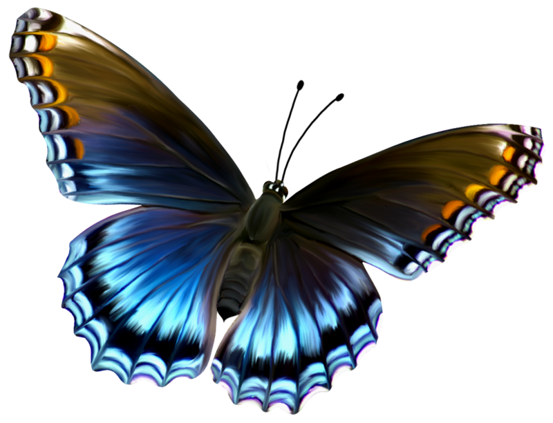 Amazing Butterfly PNG