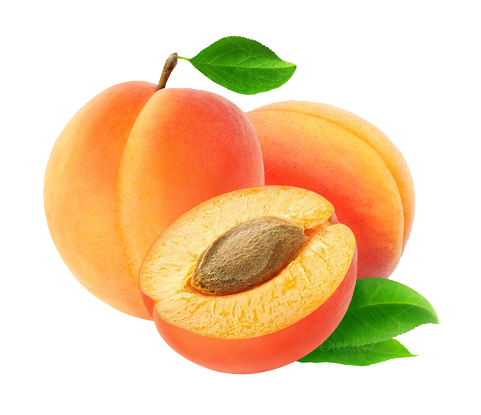 Apricot PNG imagen transparente