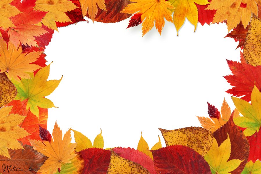 Autumn Leaf Frame PNG
