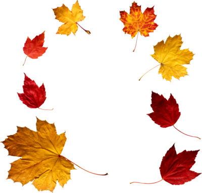 Archivo PNG de hojas de otoño