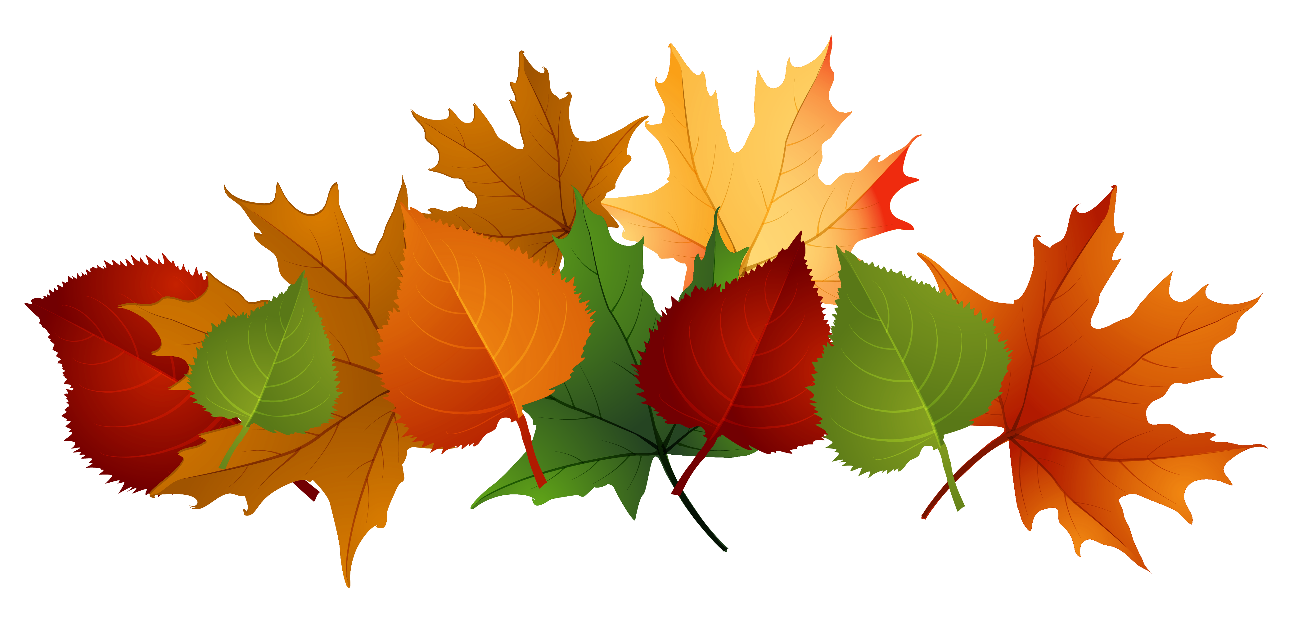 Immagine di autunno foglie PNG immagine Trasparente