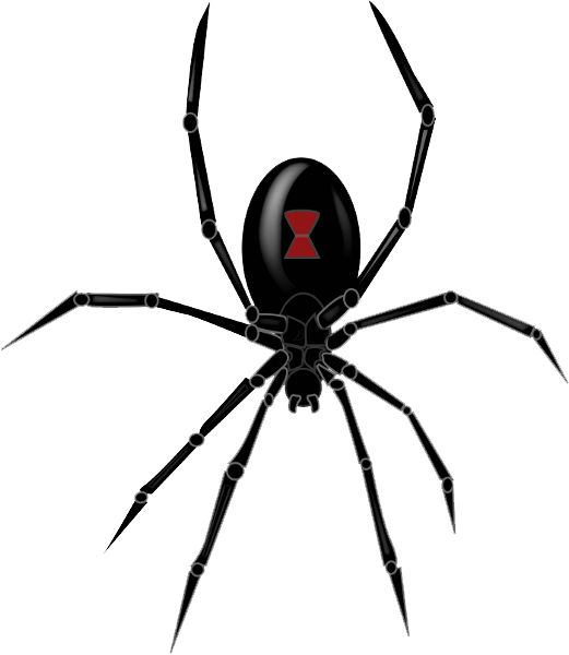 Siyah Dul Örümcek PNG Clipart