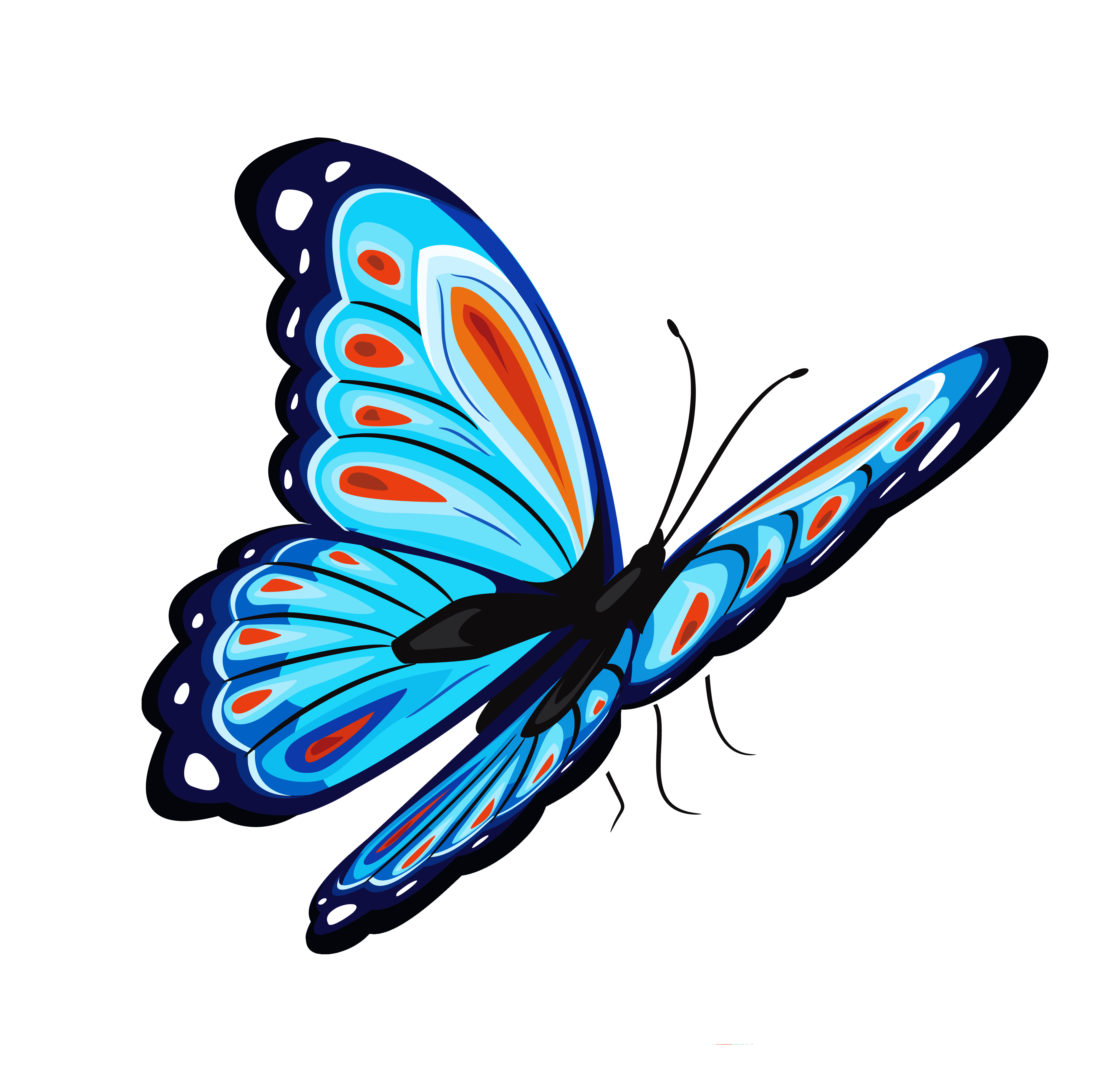 Mariposa azul PNG