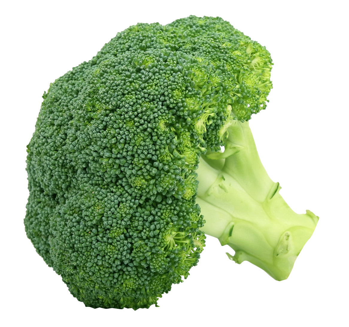 Brokoli PNG Clipart