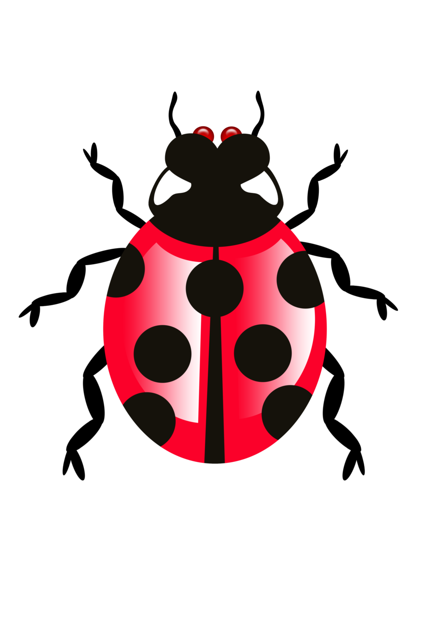 Bug Icon Transparent PNG
