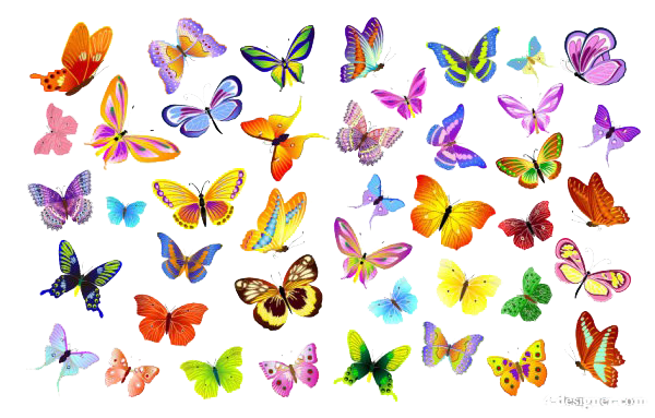 Butterflies Vector PNG File