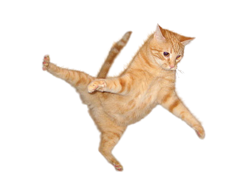 Gato saltar PNG