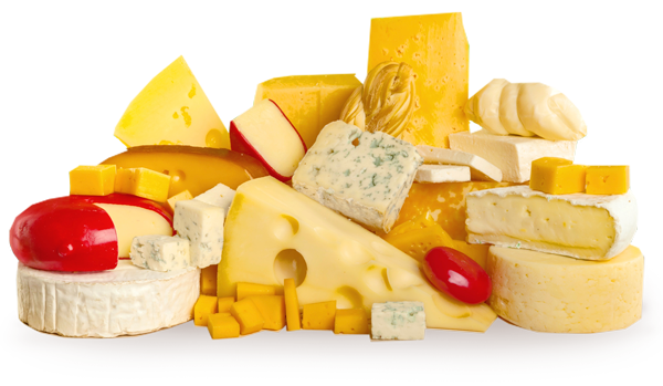 Peynir PNG Görüntüsü