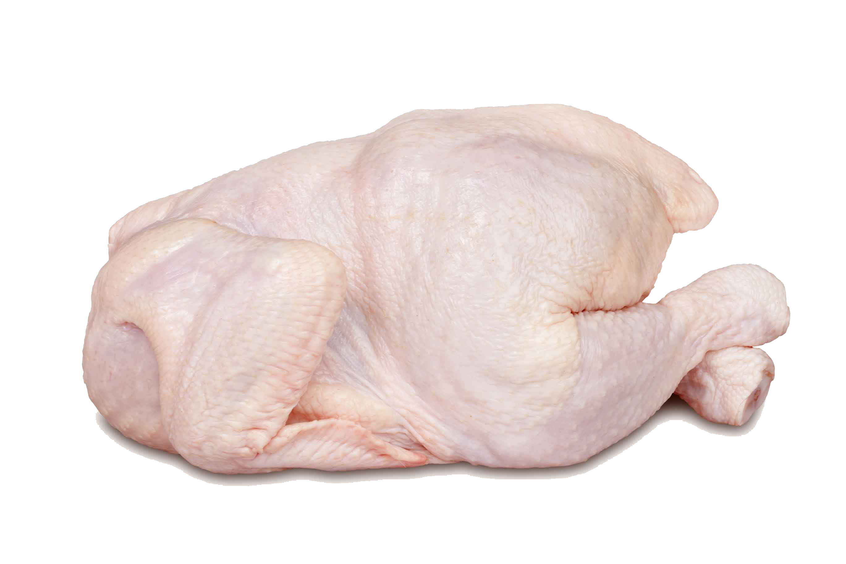 File PNG di carne di pollo