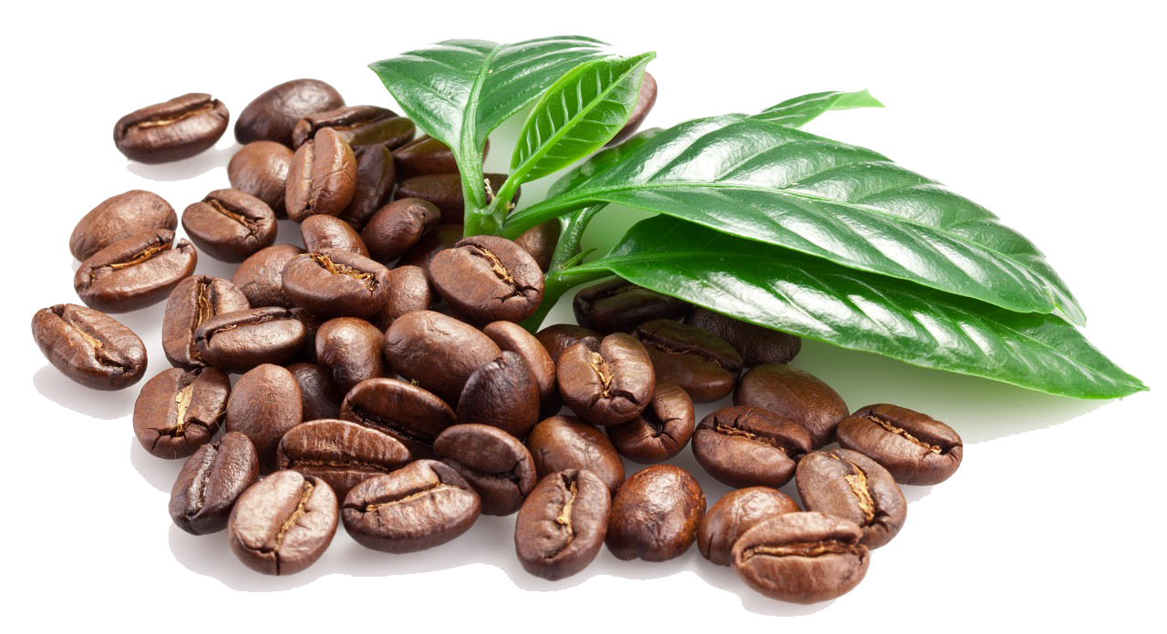 Koffiebonen PNG Beeld