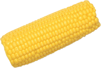 Corn Cob PNG Clipart