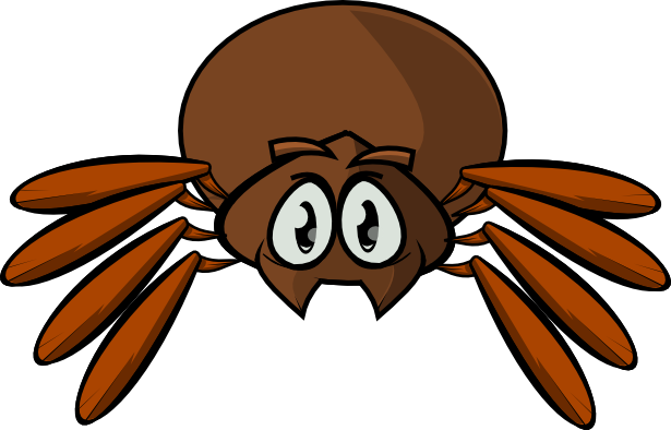 Cute Spider PNG Pic