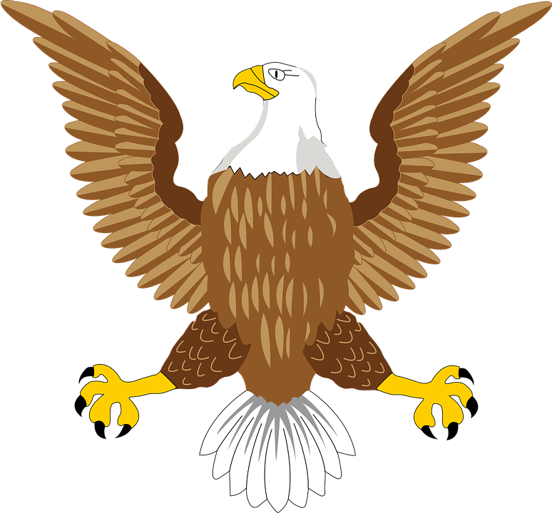 Eagle Symbol PNG Image