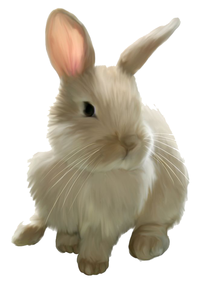 Imagen PNG de conejo de Pascua