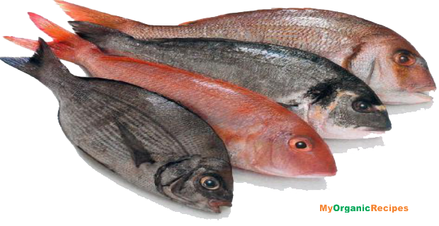 Fish Meat PNG File