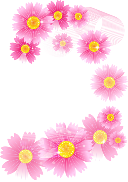 ดอกไม้ PNG ภาพถ่าย