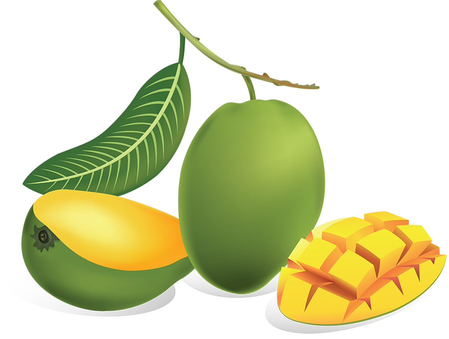 Groene mango PNG