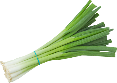 Green Onion PNG Clipart