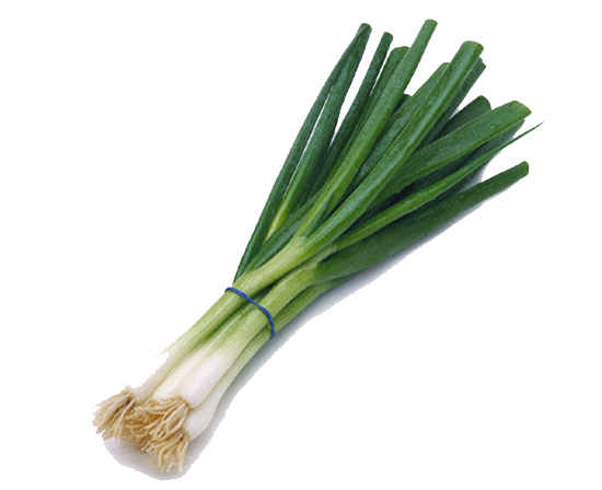 Green Onion PNG Transparent Image