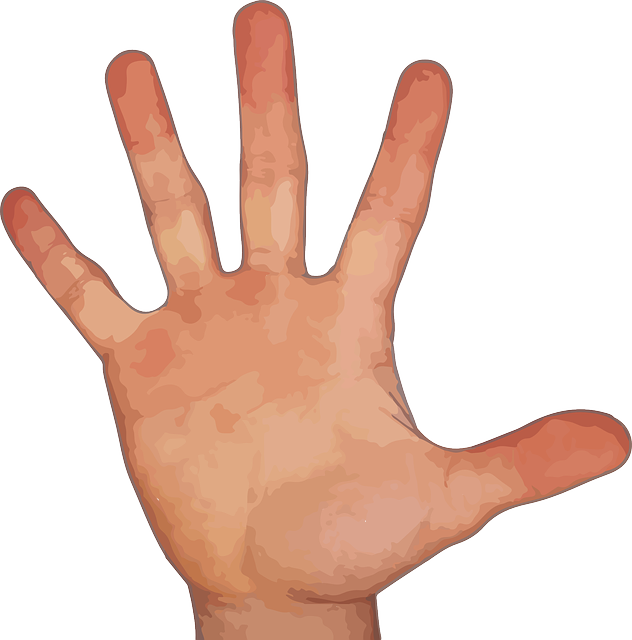 Tangan dengan lima jari PNG