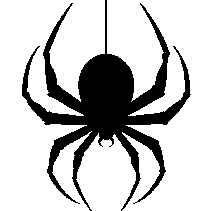 Hanging Spider PNG Transparent Image