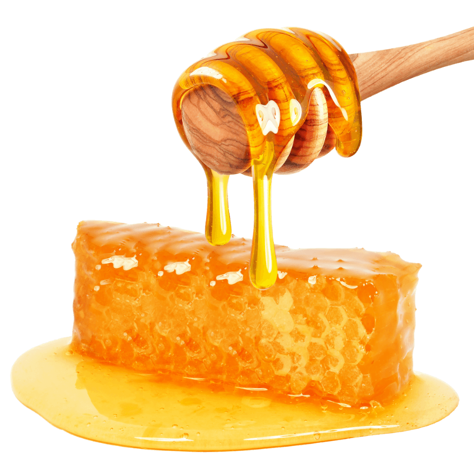 Archivo PNG de la miel