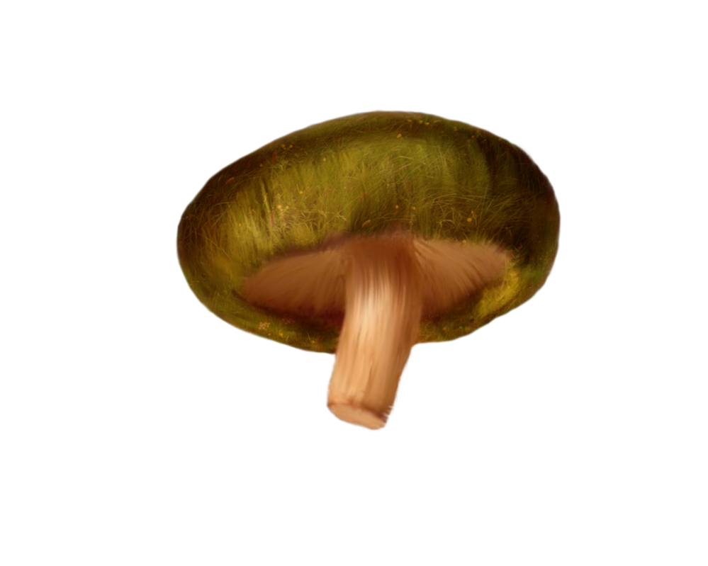 Mushroom PNG Clipart