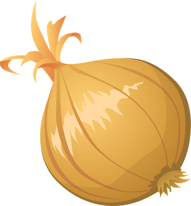 Onion Clipart PNG de vecteur