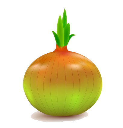 Onion Vector PNG File