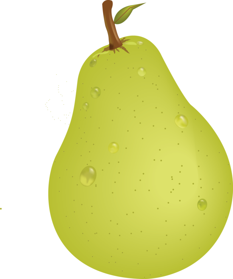 Pear Vector PNG
