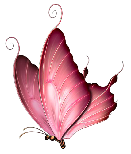 Roze vlinder PNG afbeelding