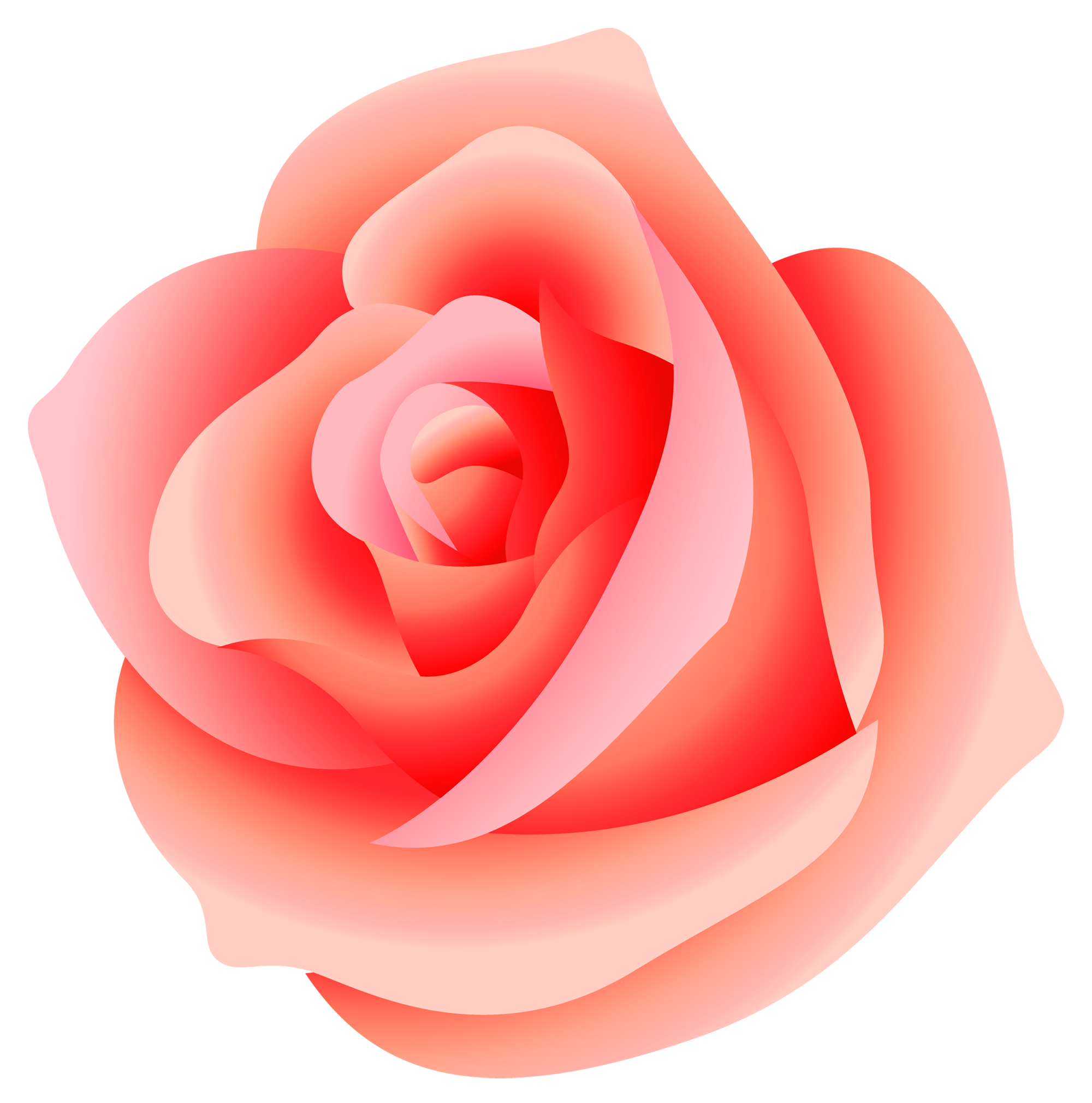 Rosa rose PNG transparent