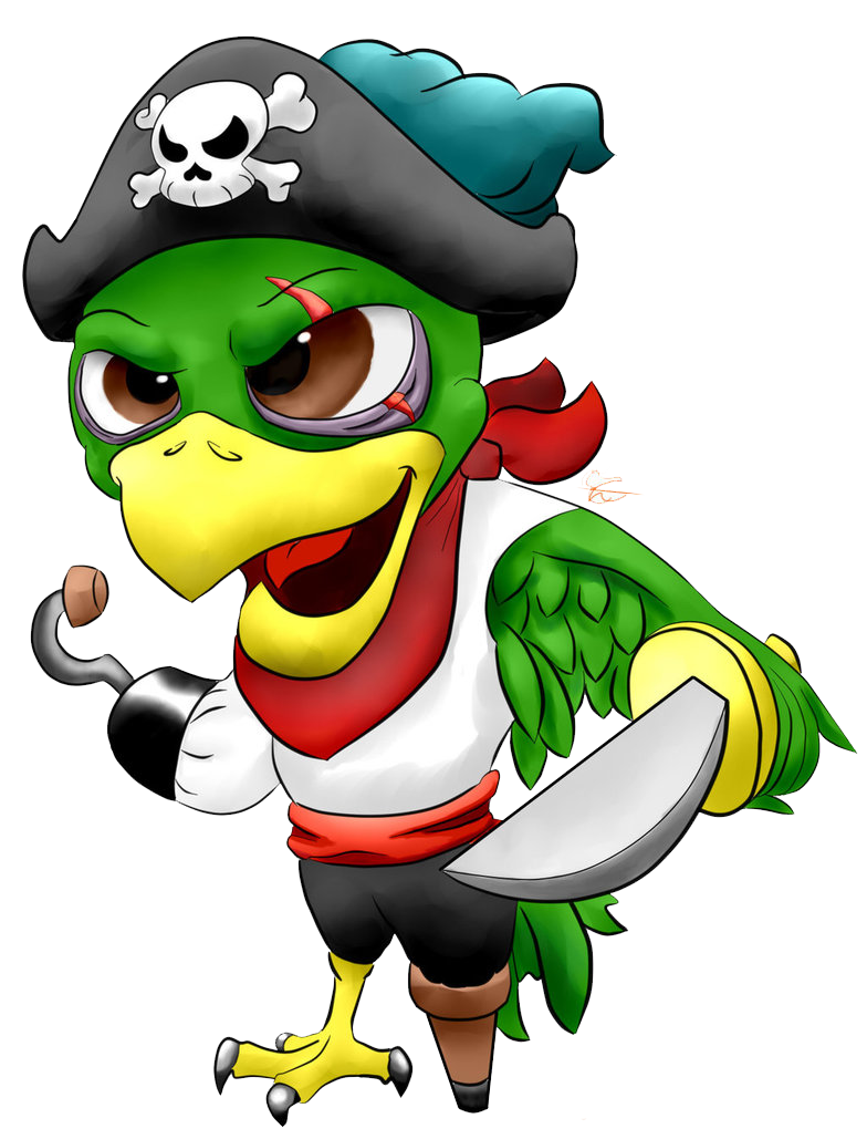 Pirate Parrot PNG Image