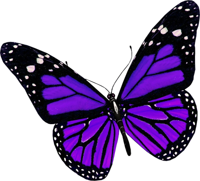 File PNG a farfalla viola